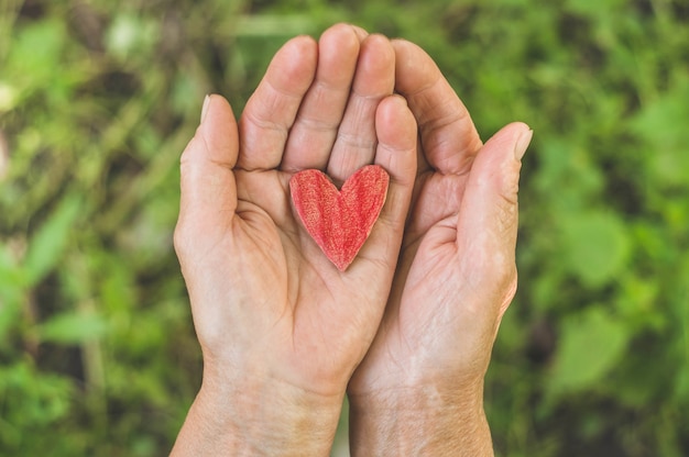 Old hand grandmother hold heart