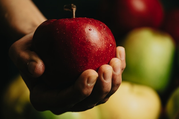 Old hands grabbing a red apple with water drops