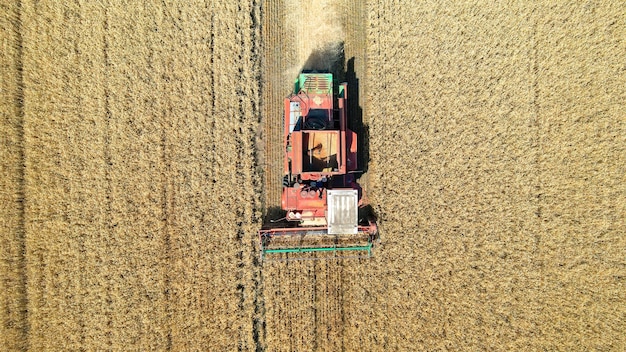 Photo old harvester harvests wheat fields in russia