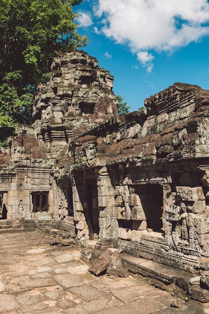 Old historical building in forest