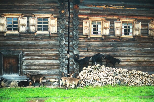 写真 古い歴史的な正統派博物館。驚くほど美しいユニークな田園風景。北国ロシア。