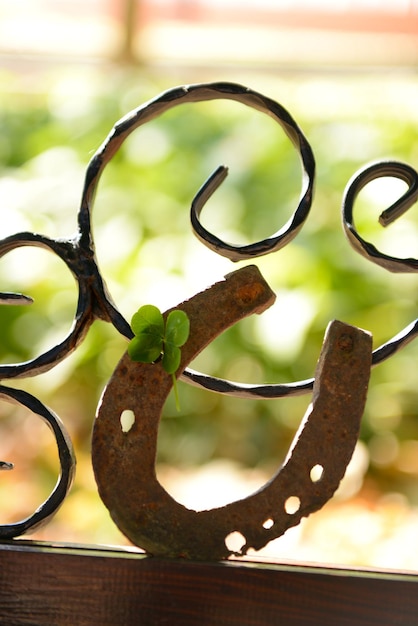 Old horse shoe with clover leaf outdoors