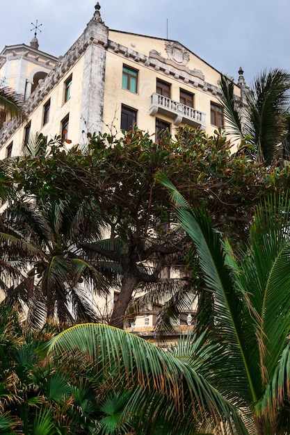 Old hotel with palm