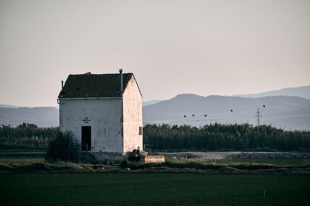 Photo old house in the middle of the field next to the high voltage towers and flock of storks flying