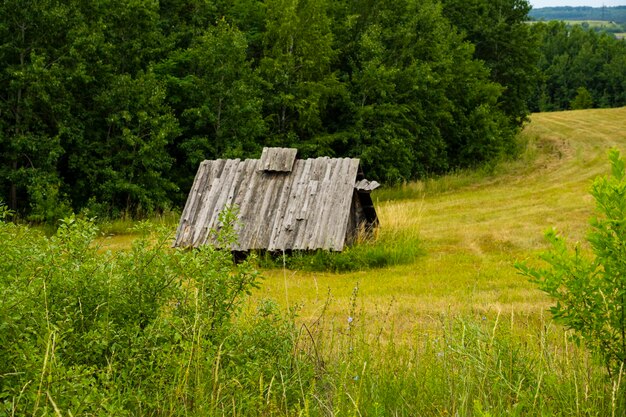 Old house in nature. Countryside