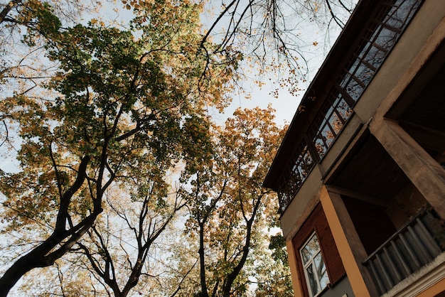 写真 秋の森と木々を背景に古い家