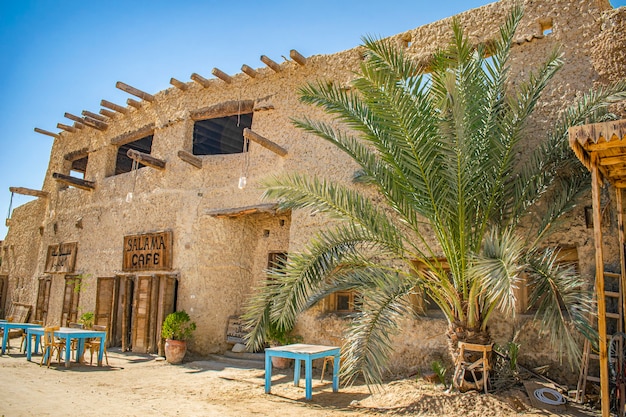 Photo old house with palm tree in front of it in sunny day