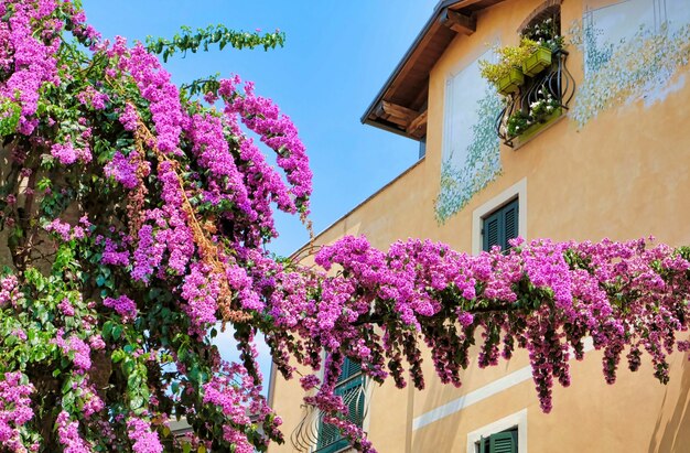 Old houses on a street in riva del garda in italy