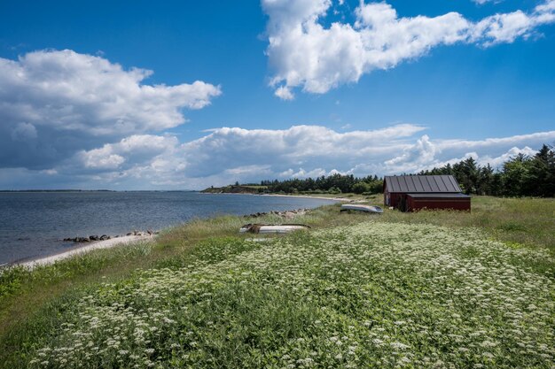 The old humlum fishing village near struer