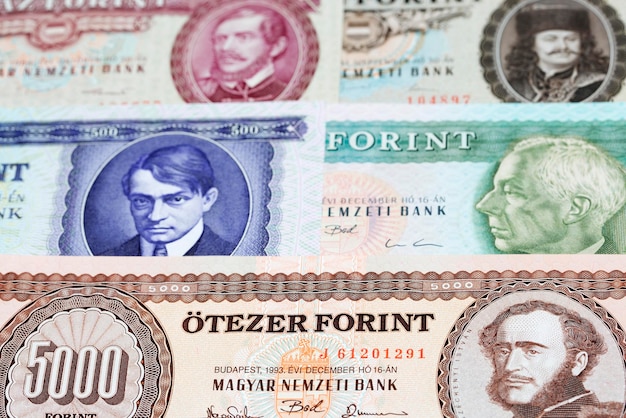 Old Hungarian Forint a business background