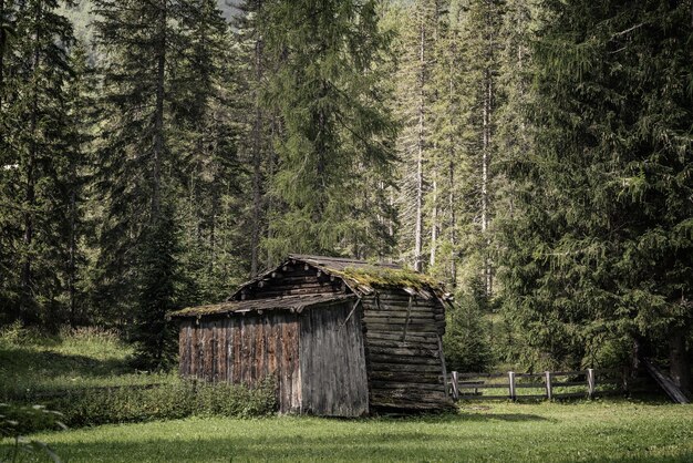 Photo old hut in the forest italy