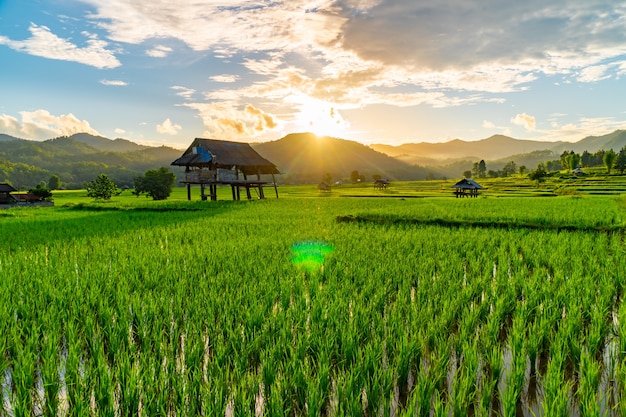 写真 タイの夕焼け空に棚田のある緑豊かな農地の真ん中にある古い小屋