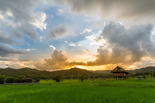 写真 タイの夕焼け空に棚田のある緑豊かな農地の真ん中にある古い小屋