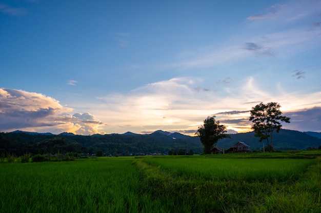 写真 タイの夕焼け空に棚田のある緑豊かな農地の真ん中にある古い小屋