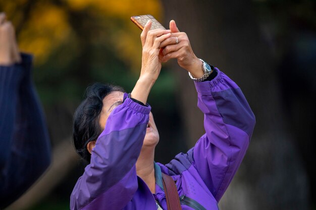 An old lady is taking pictures under the ginkgo tree