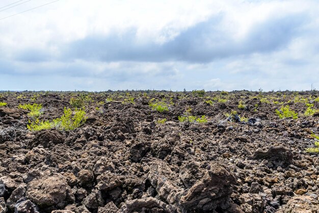 Photo old lava field on big island hawaii usa