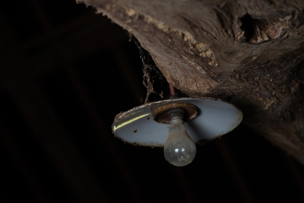 Old light bulb on a wooden beam