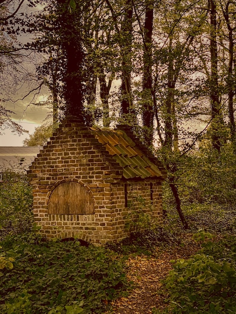 Photo an old little hut in the middle of the forest