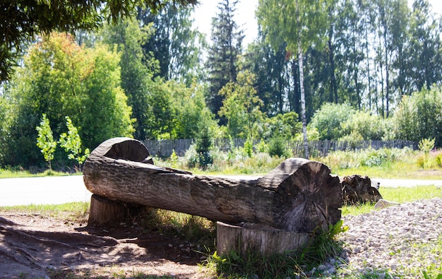 자연 속의 오래된 통나무 벤치
