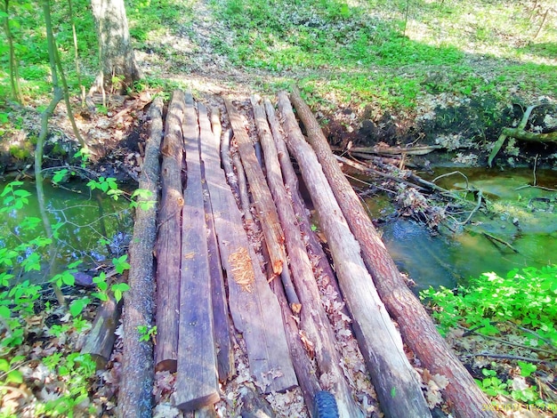 An old log bridge without a parapet over a small stream in the woods