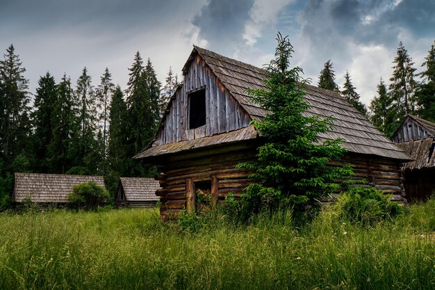 森の中の古い丸太小屋