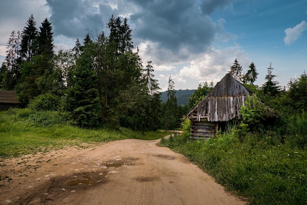 Old log cabin in the forest