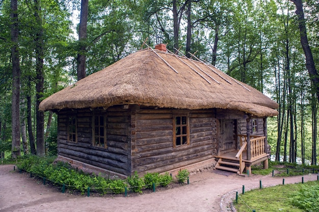 Old log house with one window, surrounded by trees in the summer