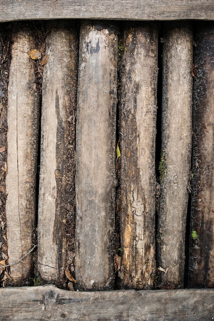 Old log road Old logs without bark Log bridge