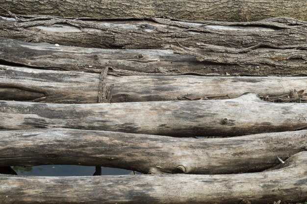 Photo old logs with bark on the background of the lake