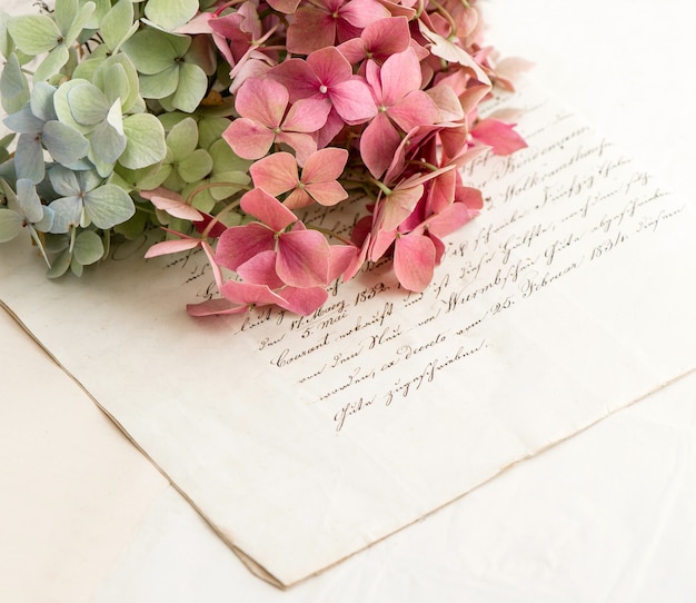 Old love letters and garden flowers hydrangea. romantic vintage style background. selective focus