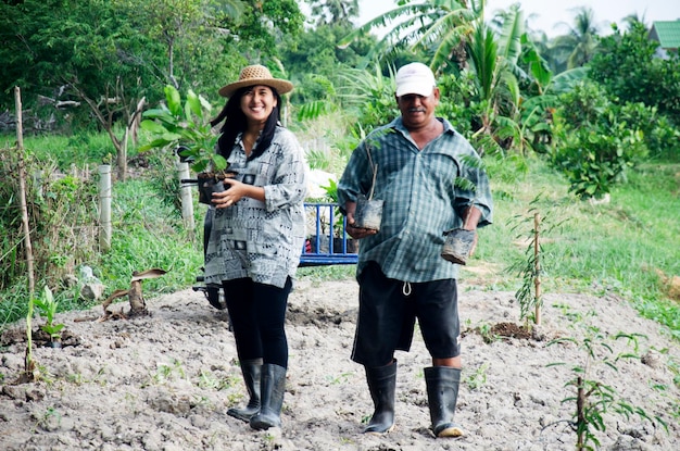 Old man and daughter together help planting tree and growing vegetable at garden in dusk time on July 14 2016 in Phatthalung Thailand