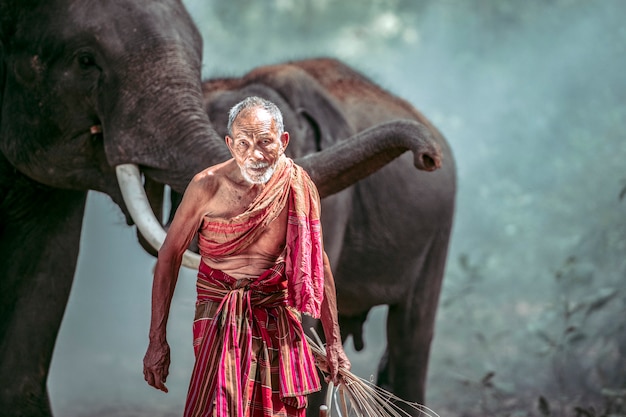 노인 mahout 숲에서 코끼리를 양육