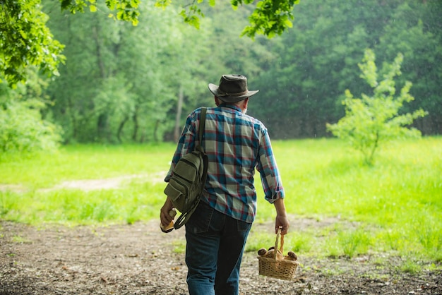 Old man walking grandpa pensioner senior hiking in forest