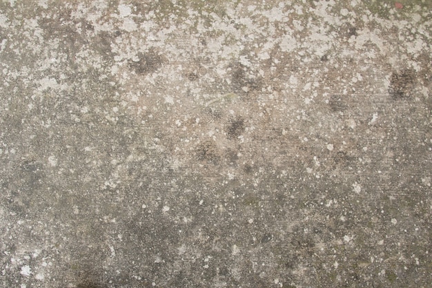 old moldy concrete wall