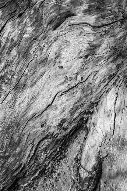 Vecchia struttura di legno naturale, sfondo di legno vecchio, concetto di design