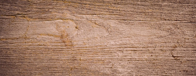 Old nature wooden texture abstract background