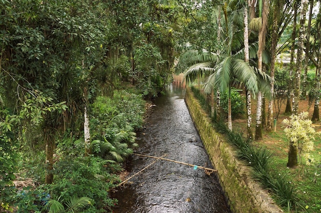 ブラジルの都市の古い航路