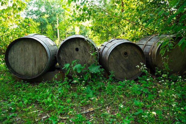 Old oak wooden barrels on the street