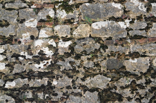 old overgrown stone wall