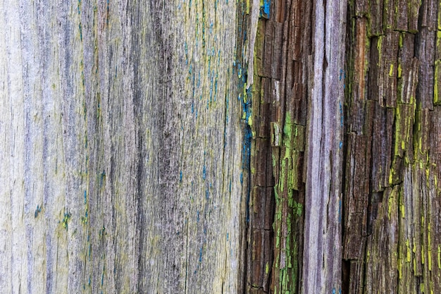 Old painted wood texture vintage and retro wooden background with weathered paint High detailed backdrop photo