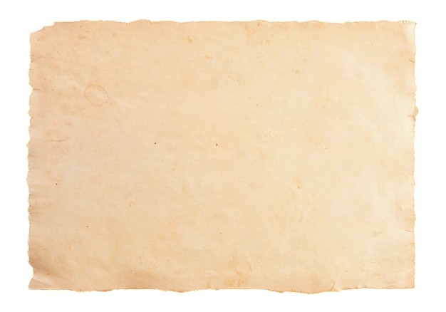 Old paper parchment texture isolated on white