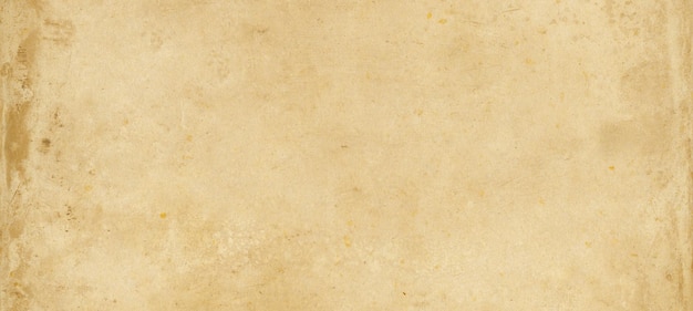 Old parchment paper. Horizontal banner texture wallpaper