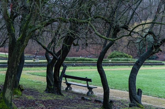 Скамейка в старом парке Осенние краски в парке