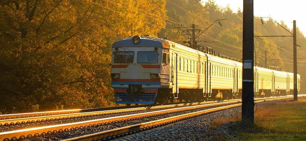 An old passenger train moves through the forest at dawn