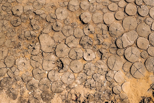 The old path is laid out of round wooden sections Background of wooden sections of timber