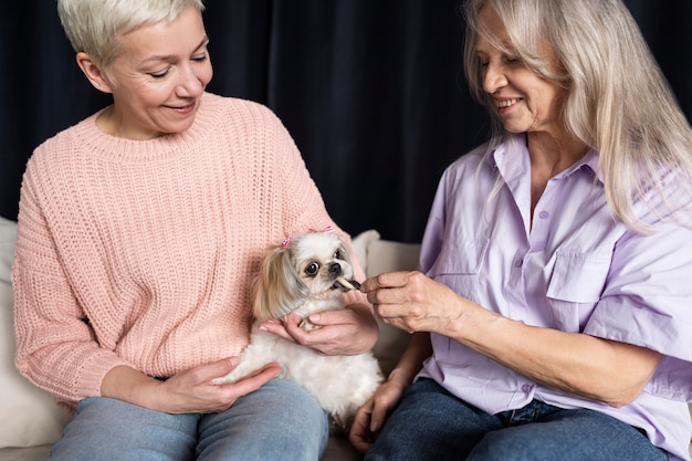 写真 ペットの犬を持つ老人