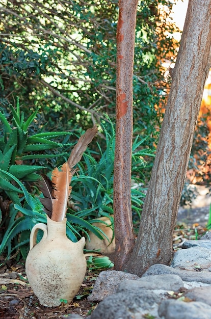 Old pitcher standing in the garden to plant background