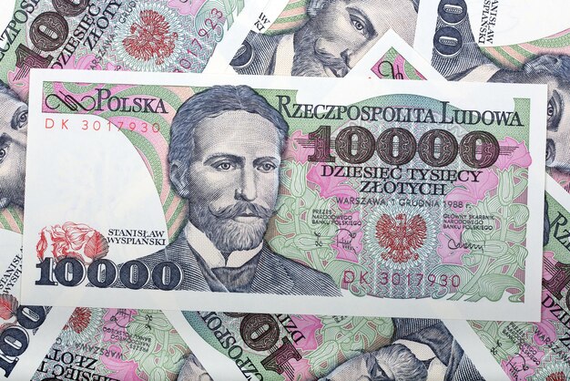 古いポーランドの貨幣 十千ズロティ