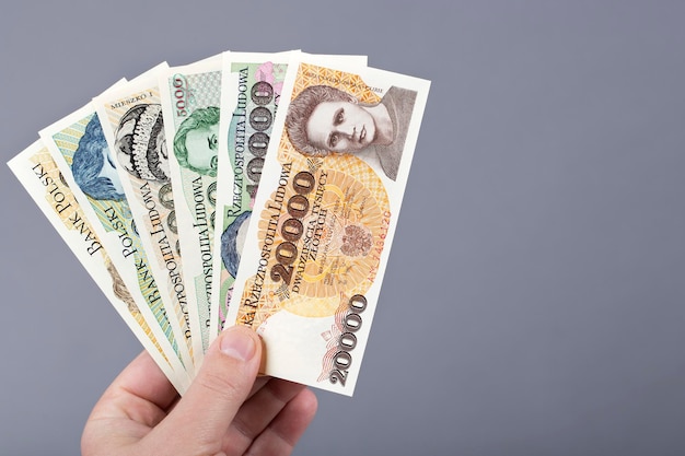 Old Polish Zloty in the hand on a gray background