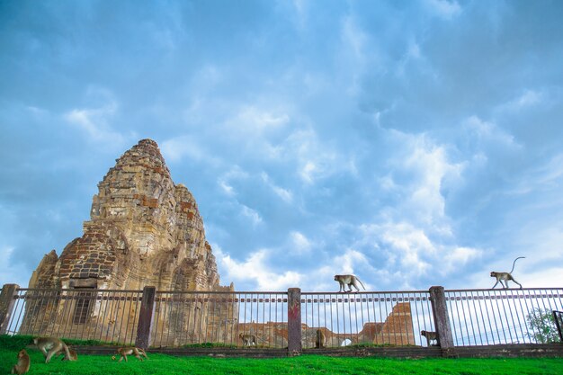 The old Prasat and Monkey in Thailand.